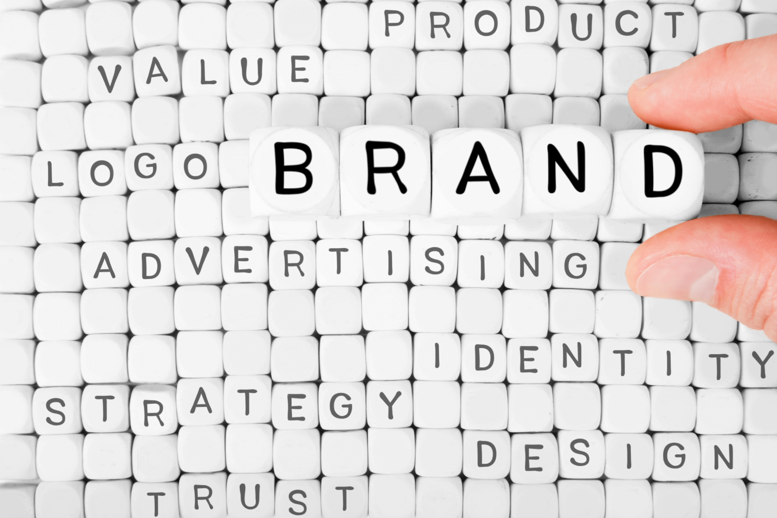 Brand-Building-&-Management